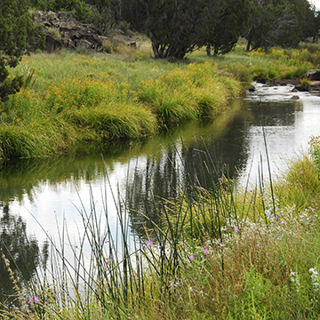 Silver Creek Fish Hatchery